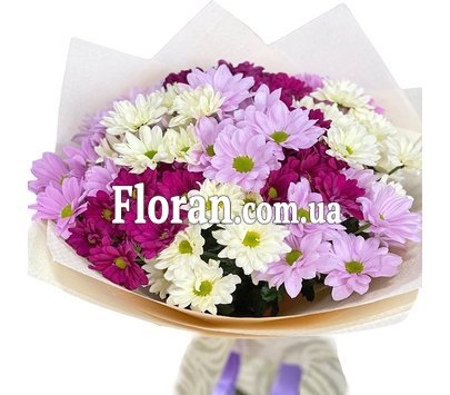 Букет з 11 хризантем