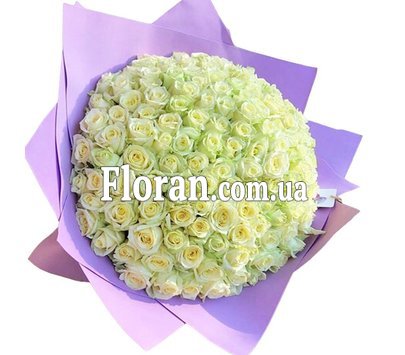 Букет з 151 білої троянди