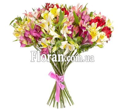 Букет із 25 альстромерій