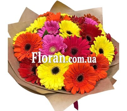 Букет з 25 Гербер