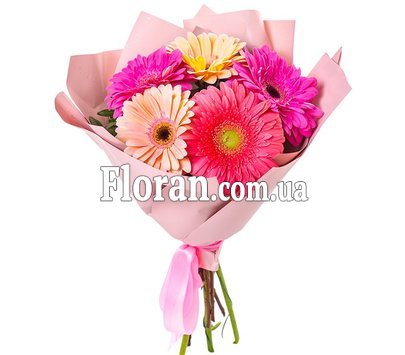 Bouquet of 5 gerberas