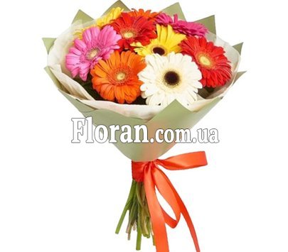 Букет з 9 гербер