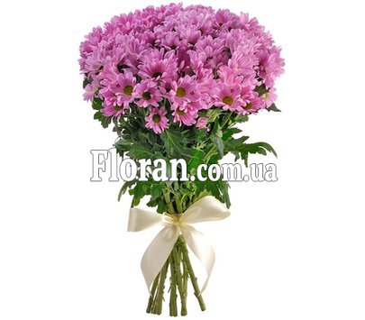 Букет из 9 хризантем