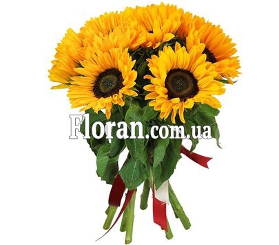Букет з 9 соняшників