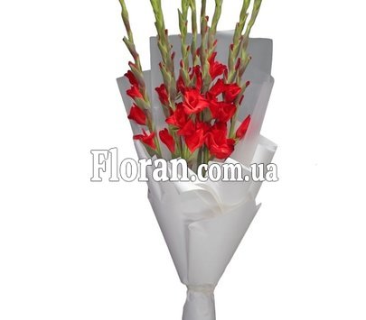 Букет з червоних гладіолусів