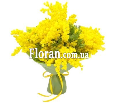 Букет мімоз