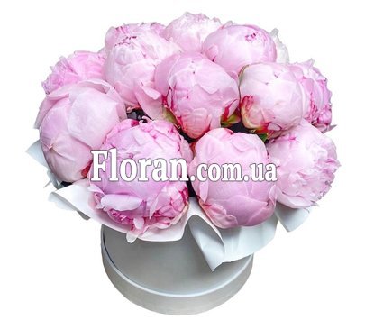 Букет півонії в коробці