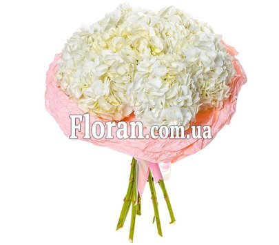 Букет із білою гортензією