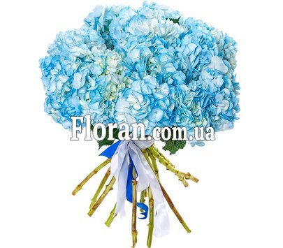 Букет с голубой гортензией