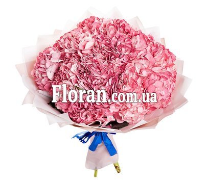 Букет із рожевою гортензією