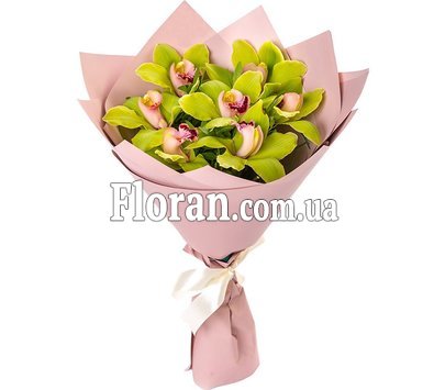 Цимбідіум букет