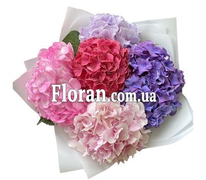 Квіти гортензія букет