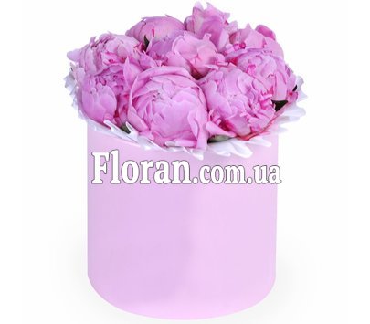 Квіти півонії рожеві в коробці