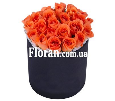 Квіти в чорній коробці