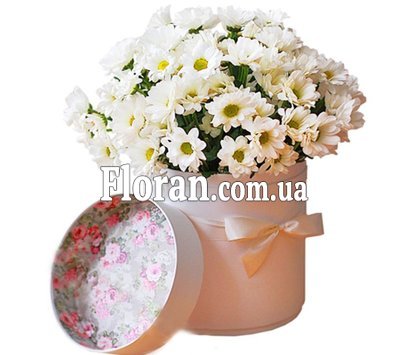 Квіти в коробці ромашки