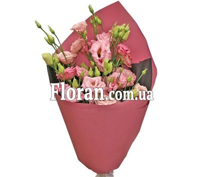 Эустома розовая