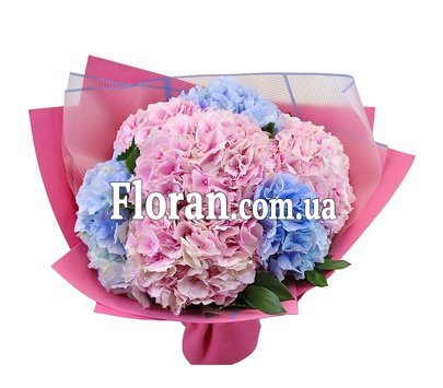 Гортензія букет