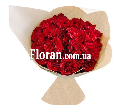 Гвоздика бордовая