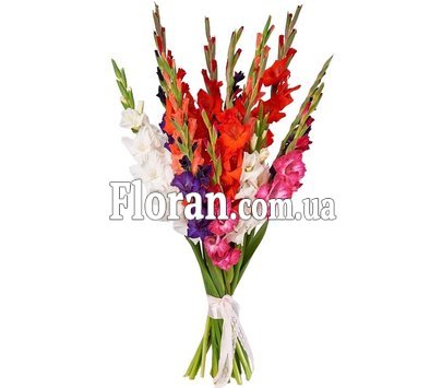 Красивий букет з гладіолусів