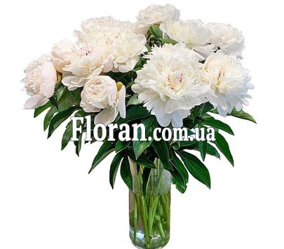 Гарний букет півонії з днем народження