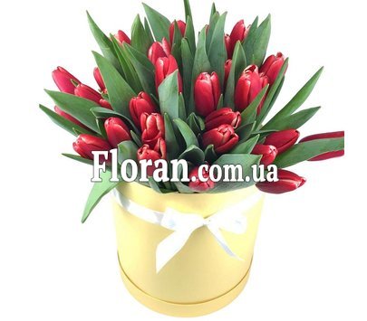 Червоні тюльпани в коробці