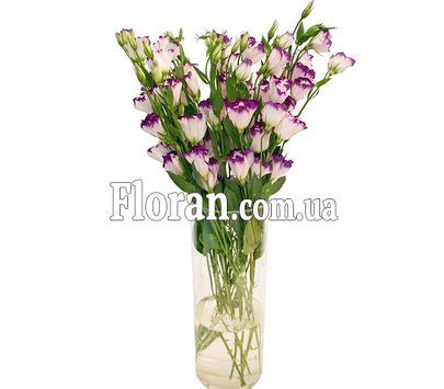 Лізіантус букет