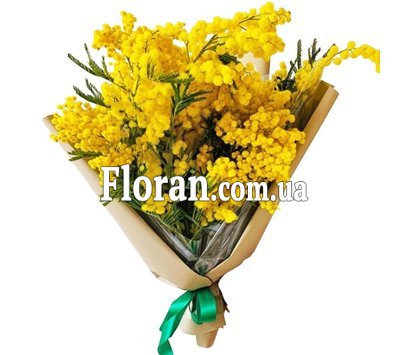 Mimosa in a bouquet
