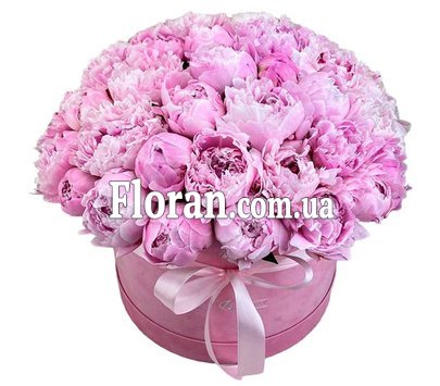 Ніжний букет півонії