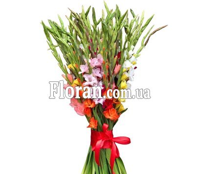 Huge bouquet of gladiolus
