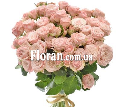 Пионовые розы