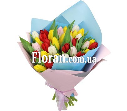 Різнокольорові тюльпани