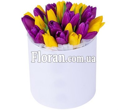 Тюльпани в коробці