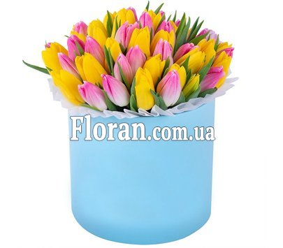 Тюльпани в коробці