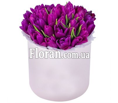 Тюльпани в капелюшній коробці