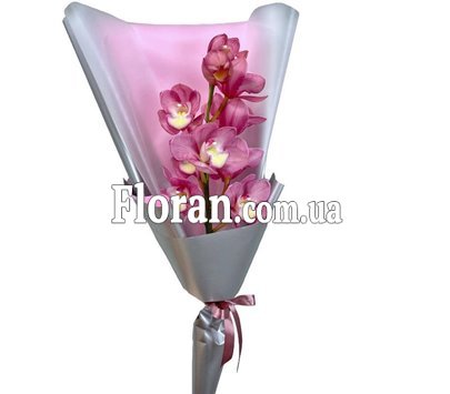 Гілка орхідеї