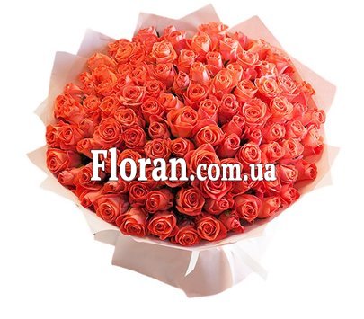 101 коралова троянда