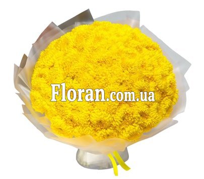 101 крупная хризантема