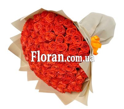 101 оранжевая роза