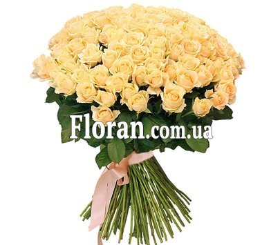 101 персиковая роза высокая