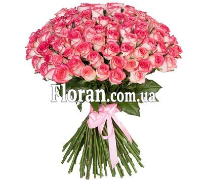 101 роза джамилия