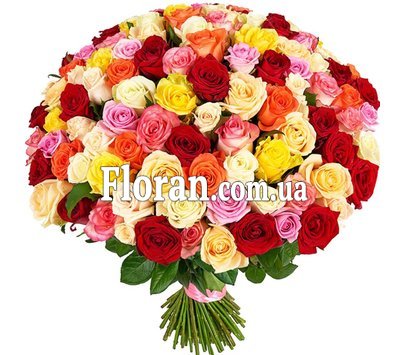 101 роза микс