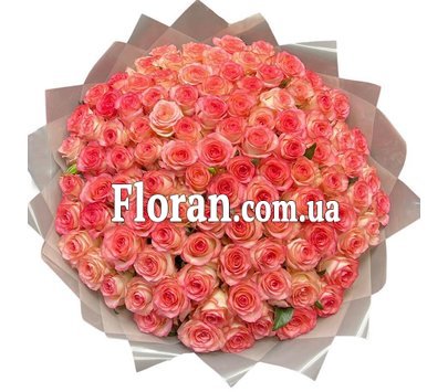 101 розовая роза джумилия