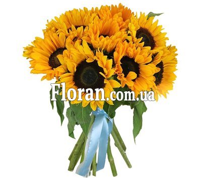 15 соняшників