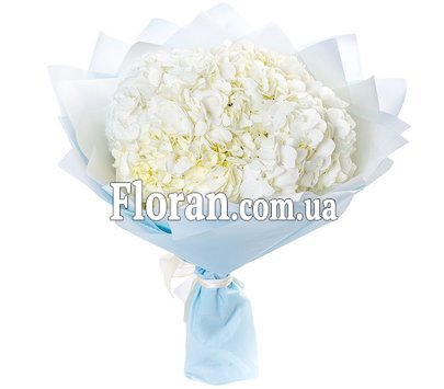 5 white hydrangeas in a bouquet