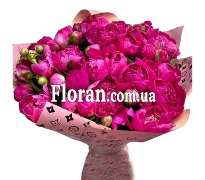 51 місцева півонія