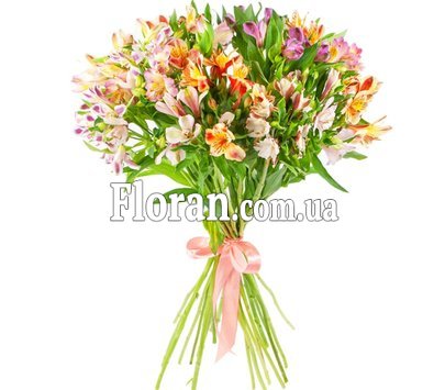 Альстромерии с лентой