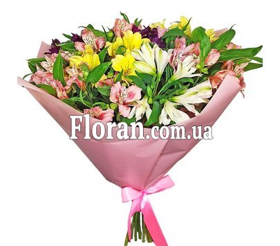 Альстромерія квітка букети