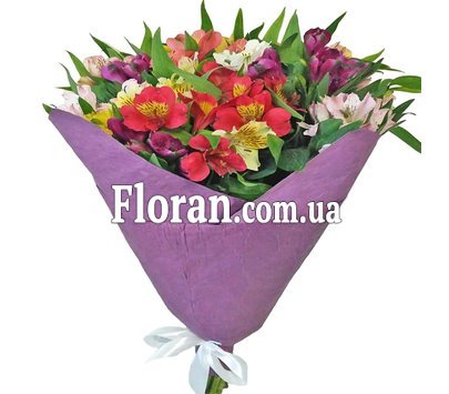 Альстромерія на подарунок