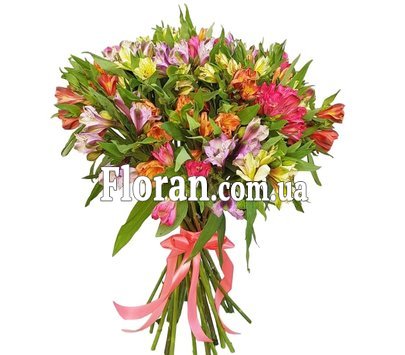 Alstroemeria under the tape