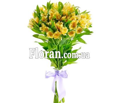 Альстромерія жовта